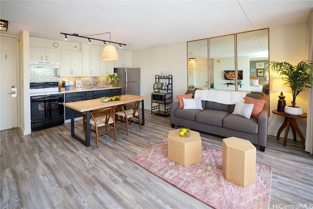 living room featuring sink, track lighting, a textured ceiling, and light wood-type flooring