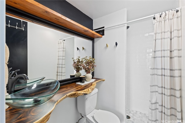 bathroom with toilet, sink, and a shower with shower curtain