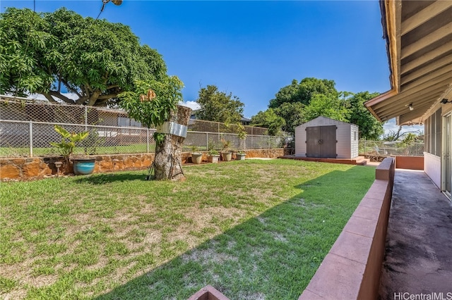 view of yard featuring a shed