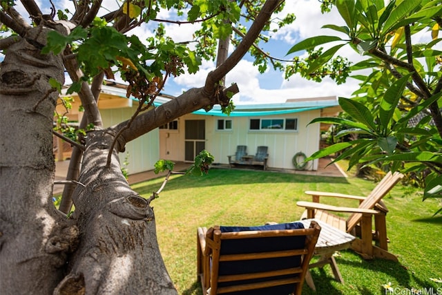 back of house featuring a patio area and a yard