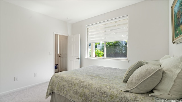 bedroom featuring carpet floors