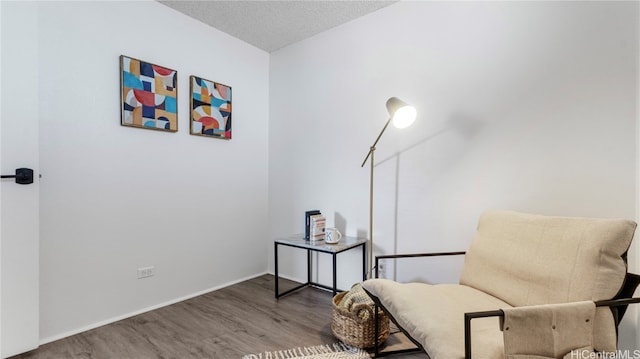 living area featuring a textured ceiling and wood-type flooring