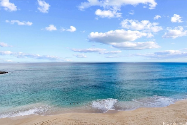 water view featuring a beach view