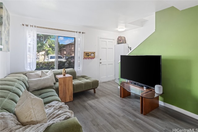 living room featuring wood-type flooring