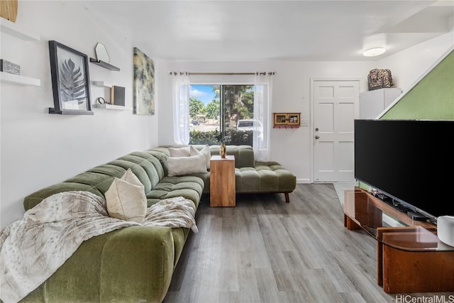 living room with hardwood / wood-style floors