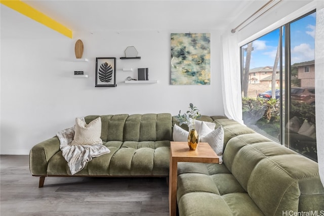 living room with wood-type flooring