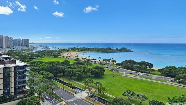 drone / aerial view with a water view