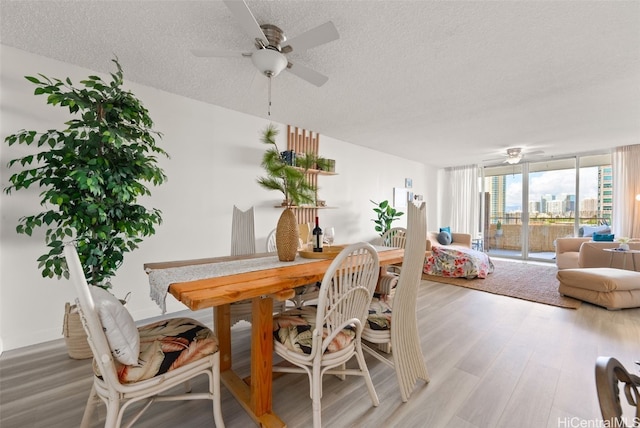 dining space featuring hardwood / wood-style floors, expansive windows, and a textured ceiling