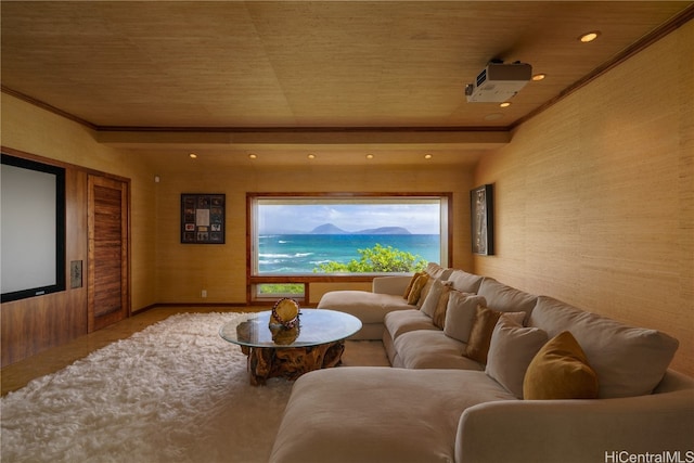 cinema featuring wood walls, wooden ceiling, and ornamental molding