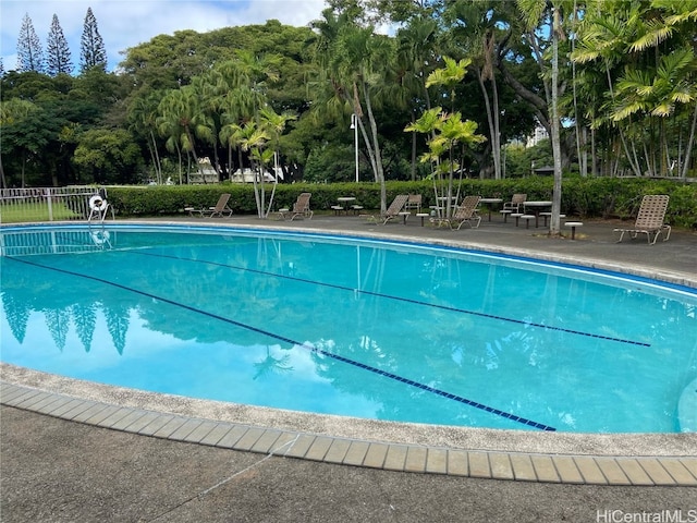 view of swimming pool