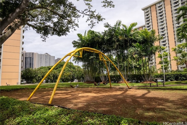 view of jungle gym