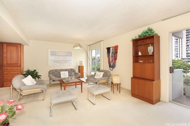 sitting room with light carpet and a textured ceiling