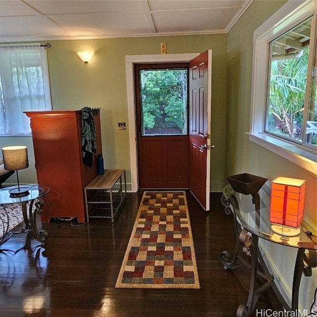 doorway with dark wood-type flooring, a healthy amount of sunlight, and ornamental molding