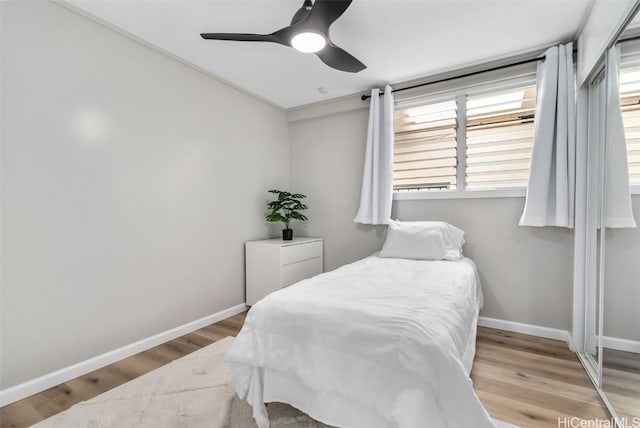 bedroom featuring light hardwood / wood-style floors and ceiling fan