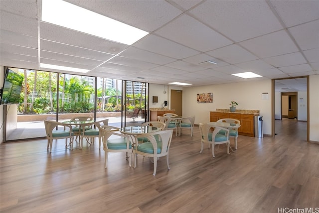 interior space featuring a drop ceiling, a wealth of natural light, and hardwood / wood-style flooring