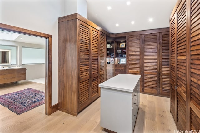 interior space featuring a skylight and light hardwood / wood-style flooring