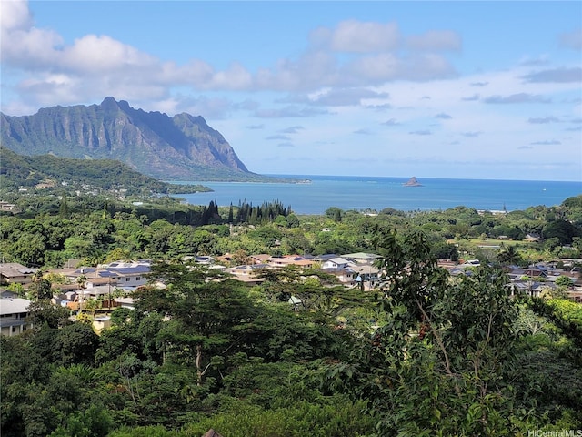 47-481 Pakai Pl, Kaneohe, HI 96744 - photo 16