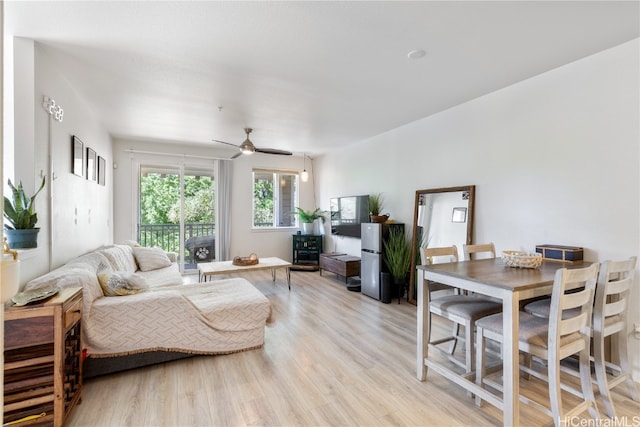 living room with ceiling fan and light hardwood / wood-style flooring