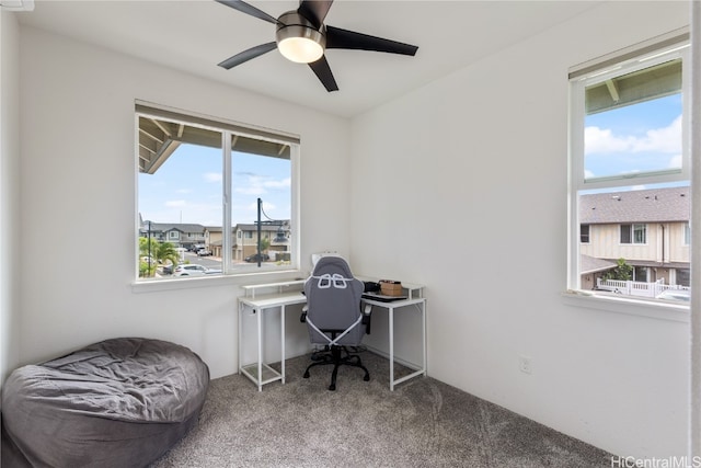 office space featuring ceiling fan and carpet floors