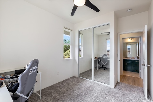 carpeted office space with ceiling fan