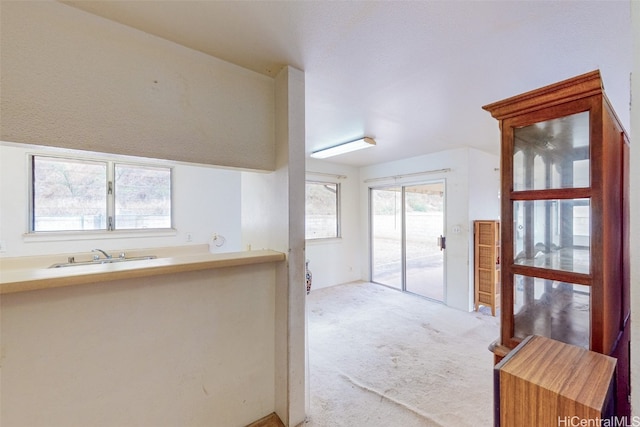 interior space featuring light colored carpet and sink