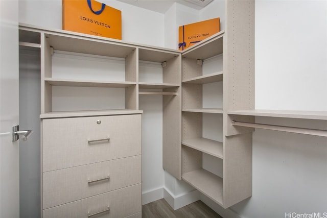 spacious closet featuring hardwood / wood-style flooring