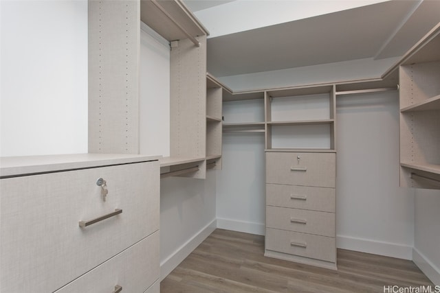 spacious closet with hardwood / wood-style flooring