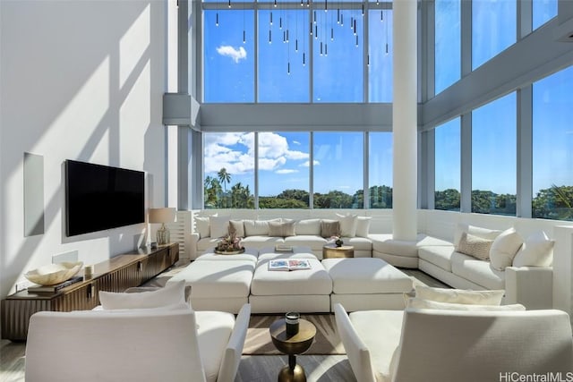 living room featuring hardwood / wood-style flooring and a towering ceiling