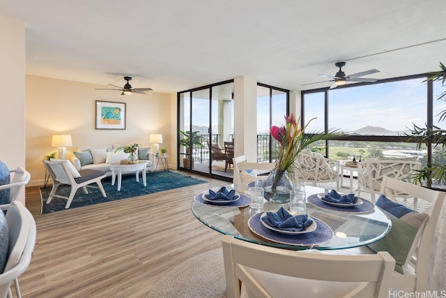 dining space featuring expansive windows, hardwood / wood-style flooring, and ceiling fan