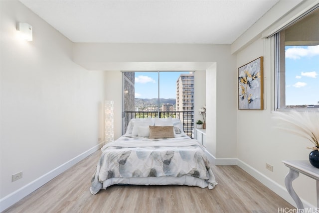 bedroom featuring light hardwood / wood-style flooring