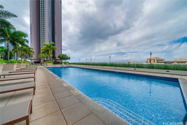 view of swimming pool with a patio