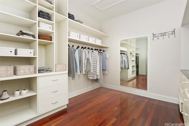 walk in closet featuring dark hardwood / wood-style floors