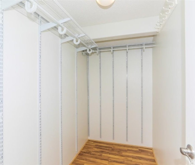 walk in closet featuring hardwood / wood-style floors