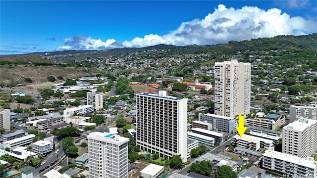 drone / aerial view with a mountain view