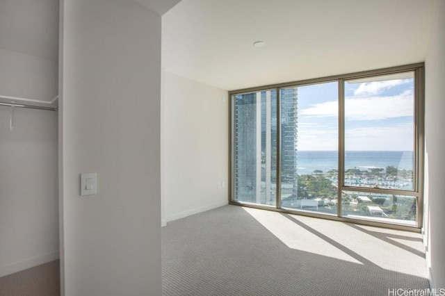 spare room with carpet, a wealth of natural light, and a water view