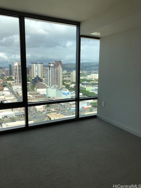 empty room with carpet and floor to ceiling windows