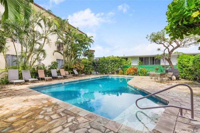 view of pool featuring a patio area