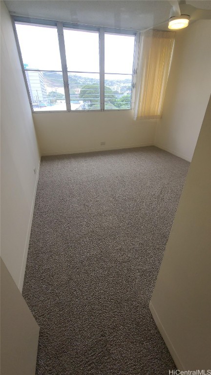 carpeted spare room with ceiling fan and a healthy amount of sunlight