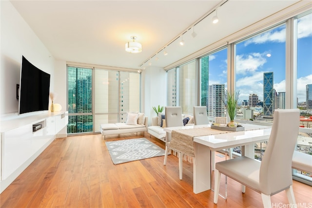 sunroom with a wealth of natural light and rail lighting