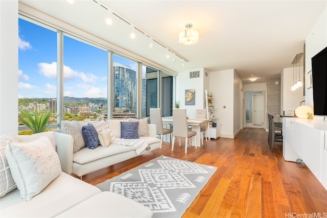 living room featuring rail lighting and hardwood / wood-style flooring