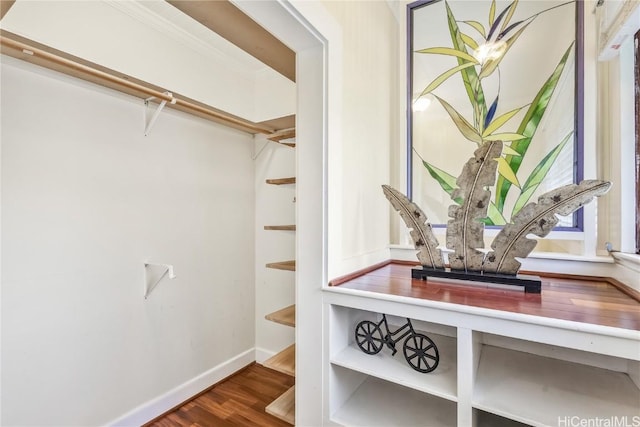 walk in closet with hardwood / wood-style flooring