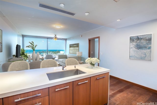 kitchen featuring dark hardwood / wood-style flooring, sink, and ceiling fan