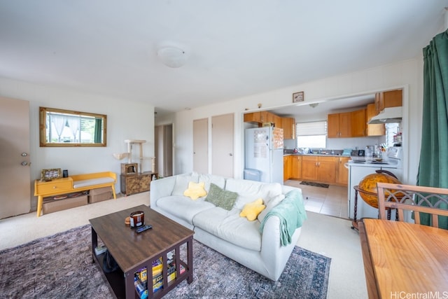 carpeted living room with plenty of natural light