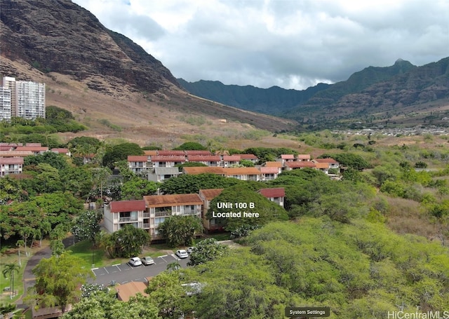 view of mountain feature