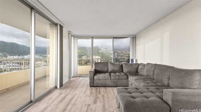 living room with a mountain view, light hardwood / wood-style flooring, and a wall of windows