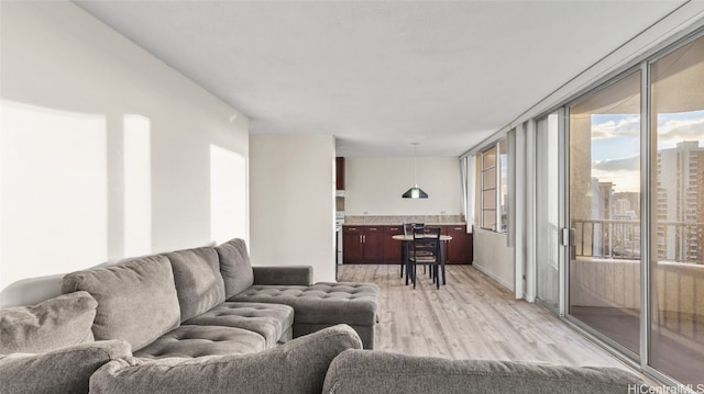 living room featuring light hardwood / wood-style flooring