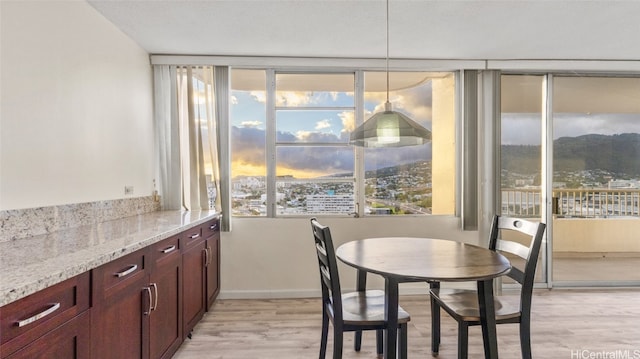 dining room featuring light hardwood / wood-style flooring