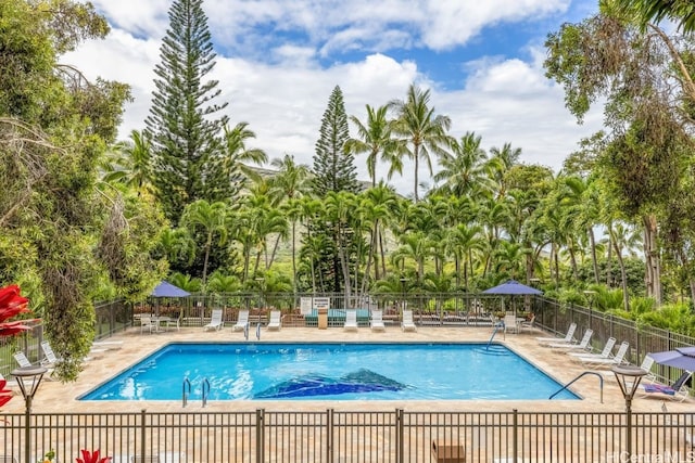 view of swimming pool with a patio area