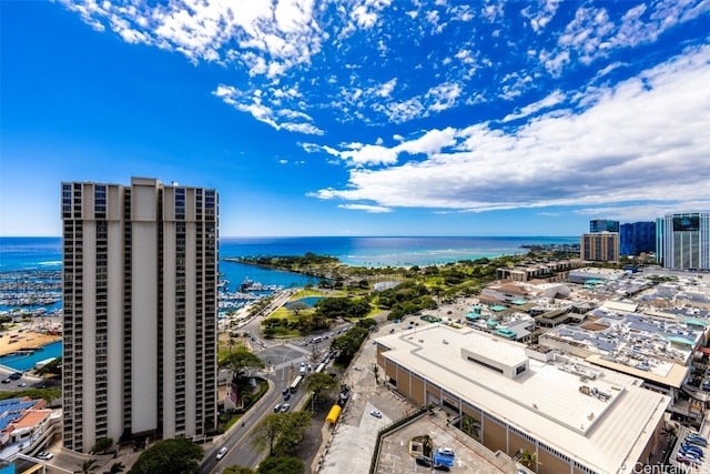 drone / aerial view with a water view