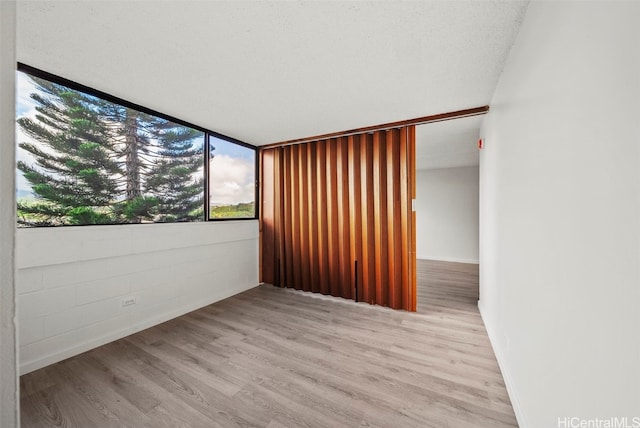 empty room with light hardwood / wood-style floors and a textured ceiling